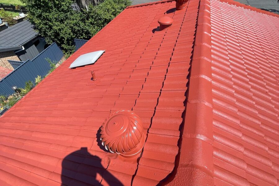 Roof Painting